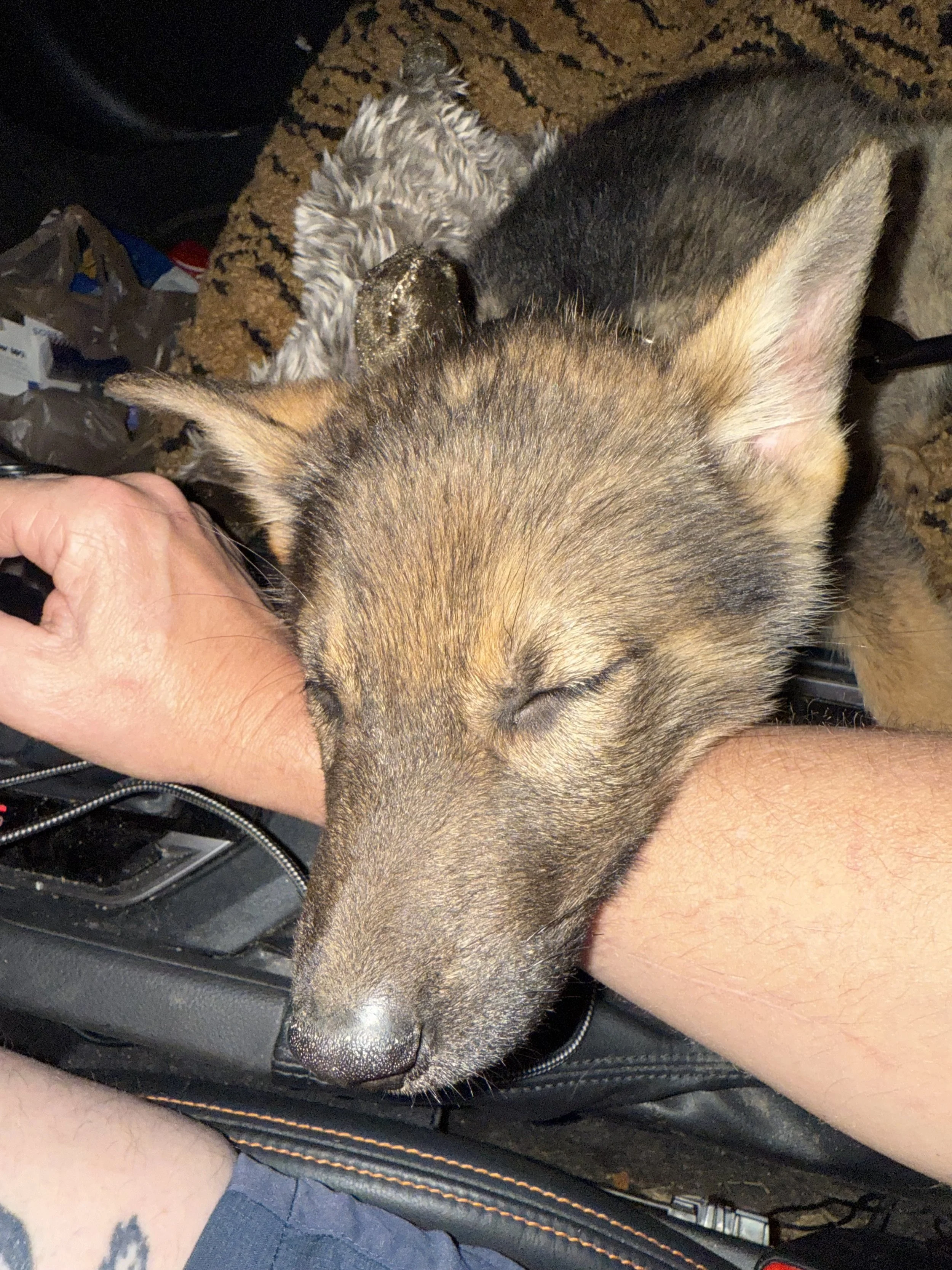 Aww