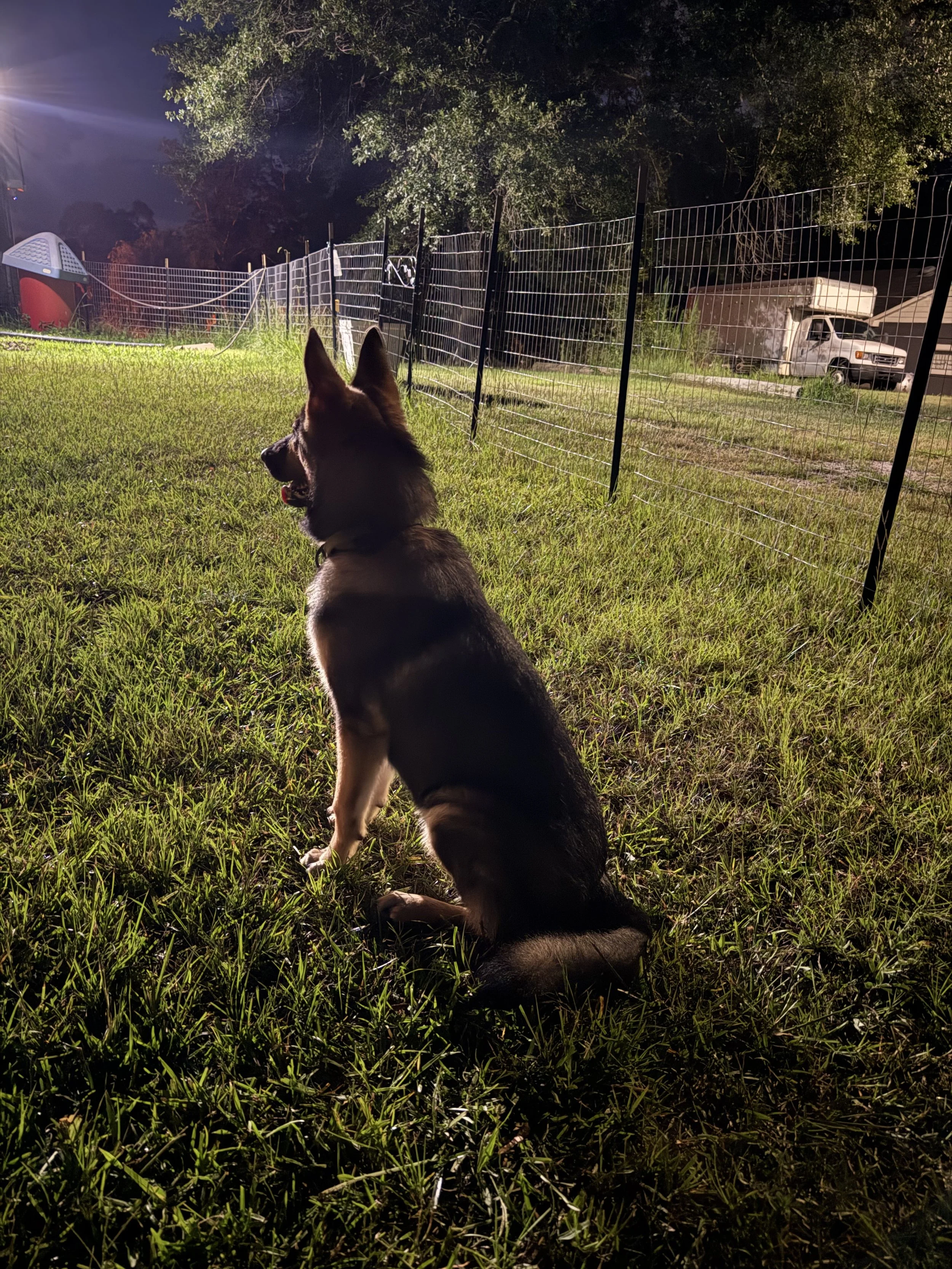 He Getting Big 