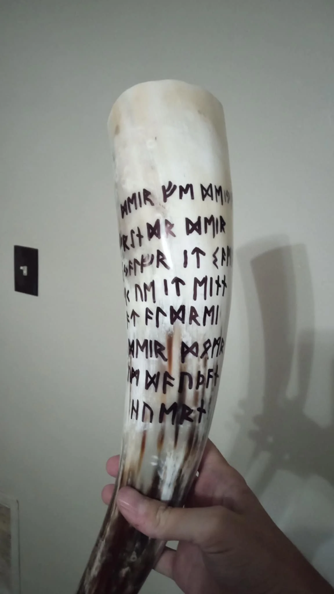 att.oFUnxkwymglOnJfAiw6oWCvCZwwD0v58x_WyYy4eDcg.JPG