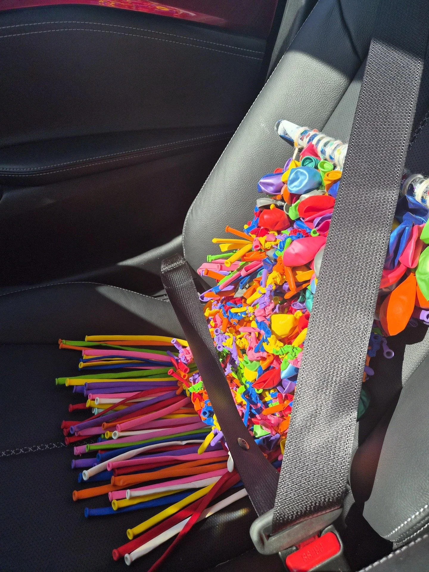 Buckled up and ready to go...

These are just a few pictures taking "Pops of Joy" (made ENTIRELY out of balloons and suspended from a sensory wand) on a fun drive over to the CSA Gallery for its debut this coming Thursday!

🎉 ANNOUNCEMENT: