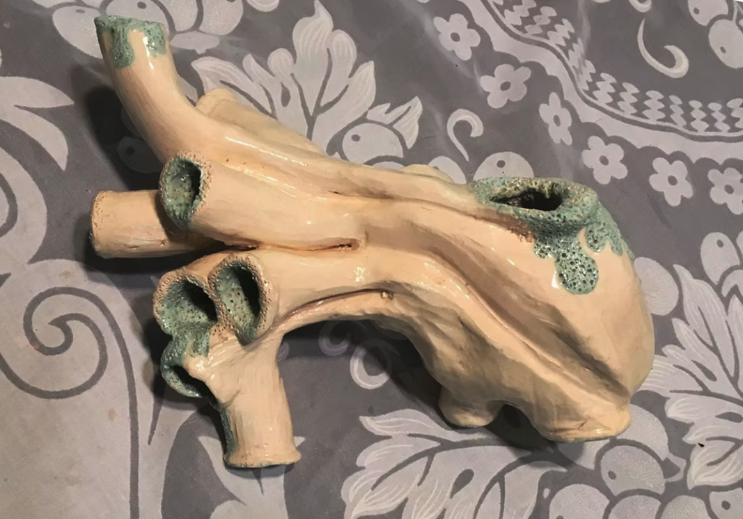 Screenshot 2026-02-19 213357.png