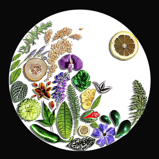 Screenshot 2026-02-19 213946.png