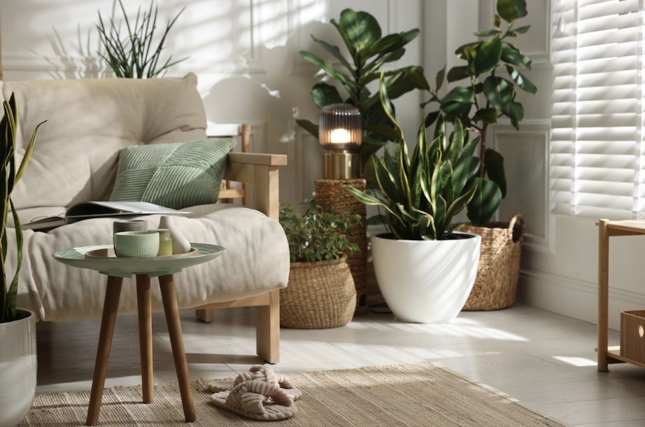 2 Most Overlooked Ways to Create a Healthier Home 