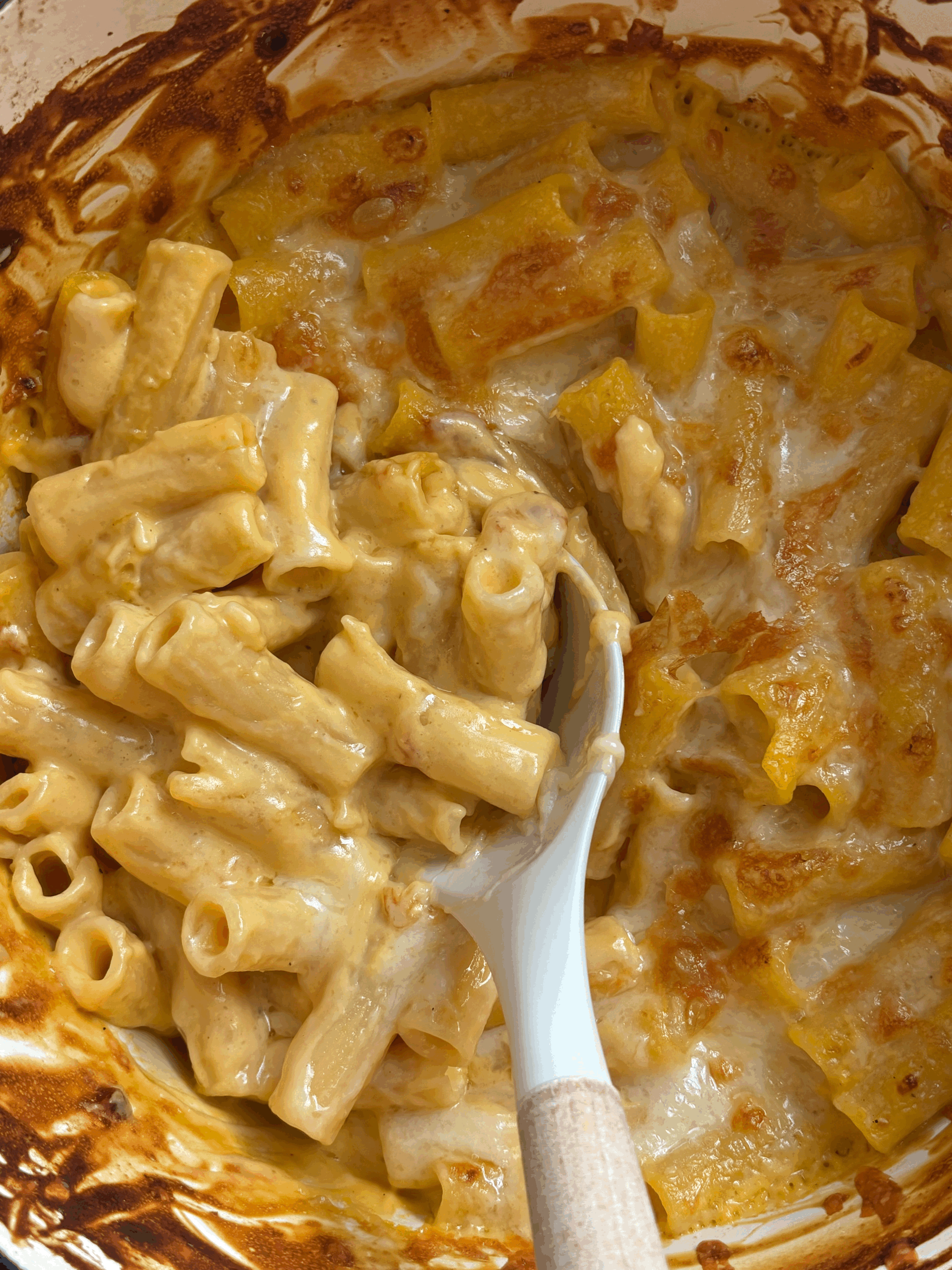 BUTTERNUT SQUASH GOAT CHEESE PASTA