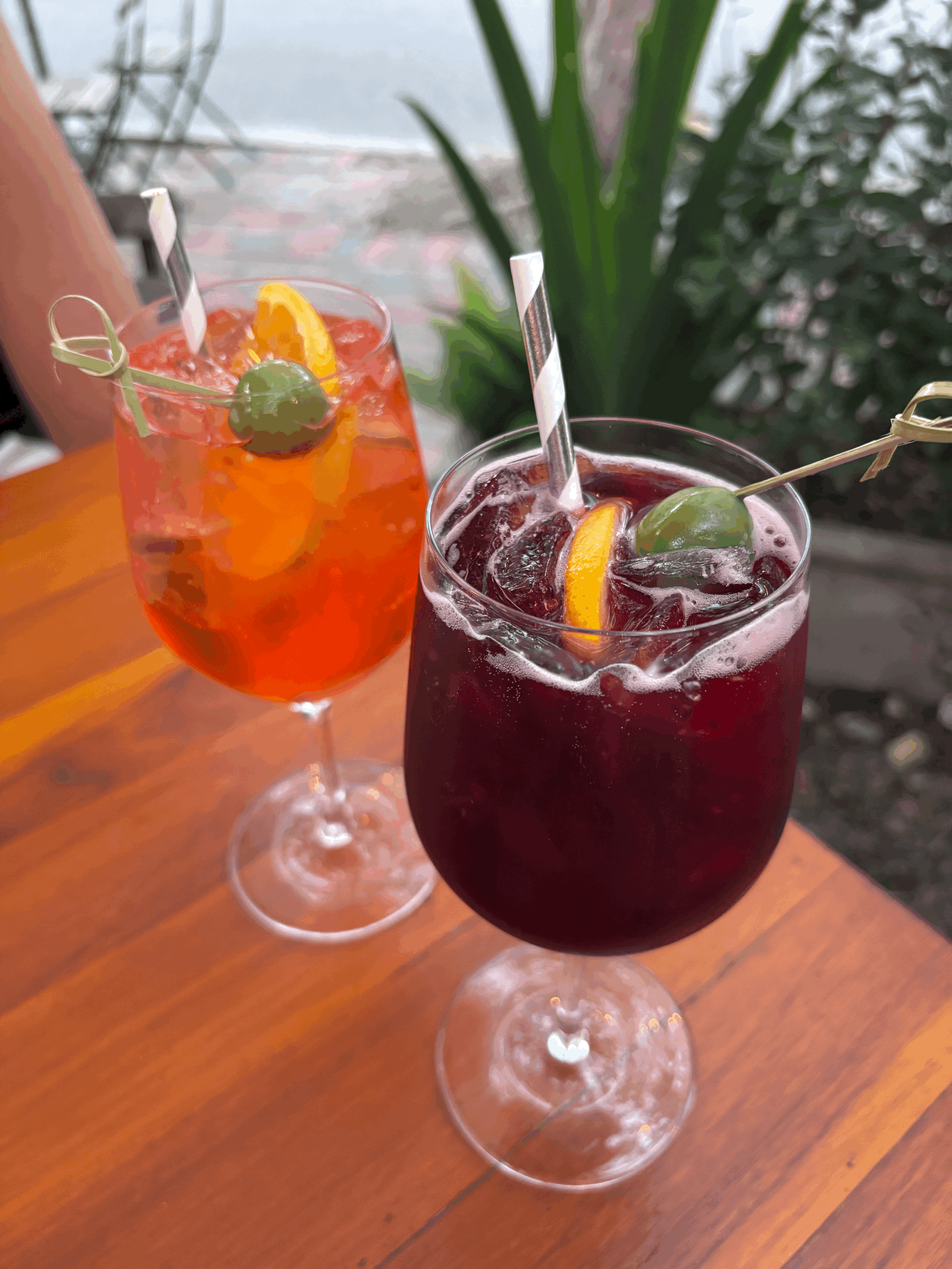 LAMBRUSCO SPRITZ: A SPRITZ LOVERS TRANSITION INTO FALL