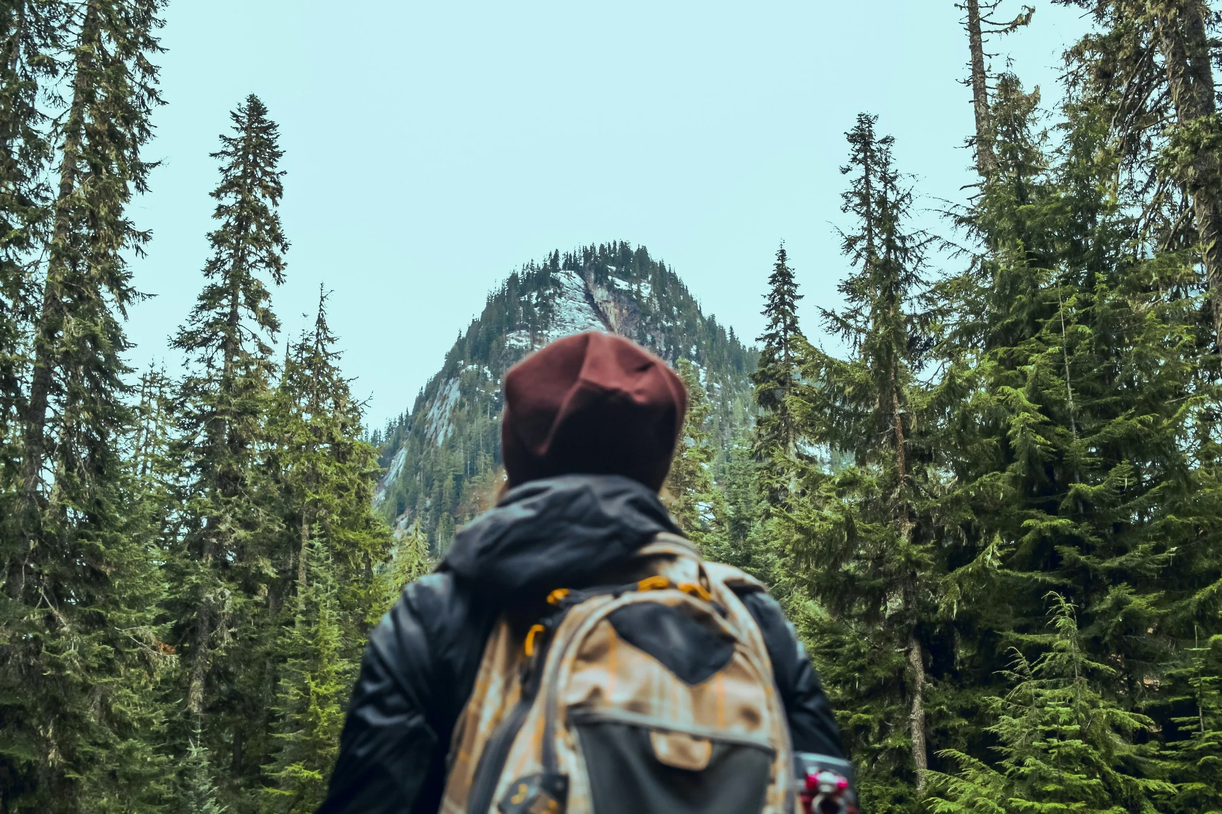 The Science of Awe: How Experiencing Wonder Boosts Brain Function