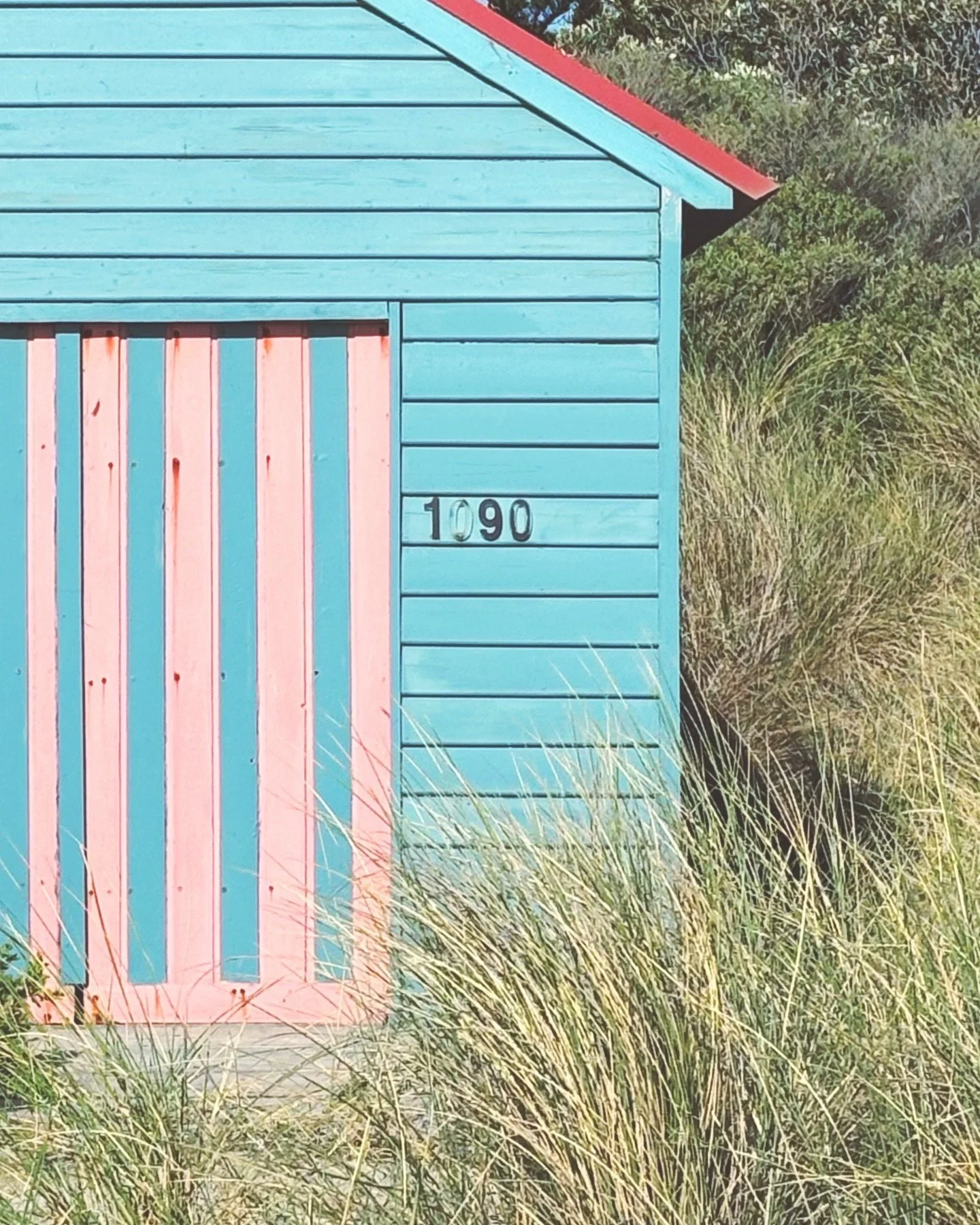 200126: Todays colours.
.
From tonight&rsquo;s walk, a beach box bleached from salty air and summer sun, layers of vibrant paint softened by time, and local grasses growing wild.
.
Colour inspiration is everywhere if you stop long enough to notice it