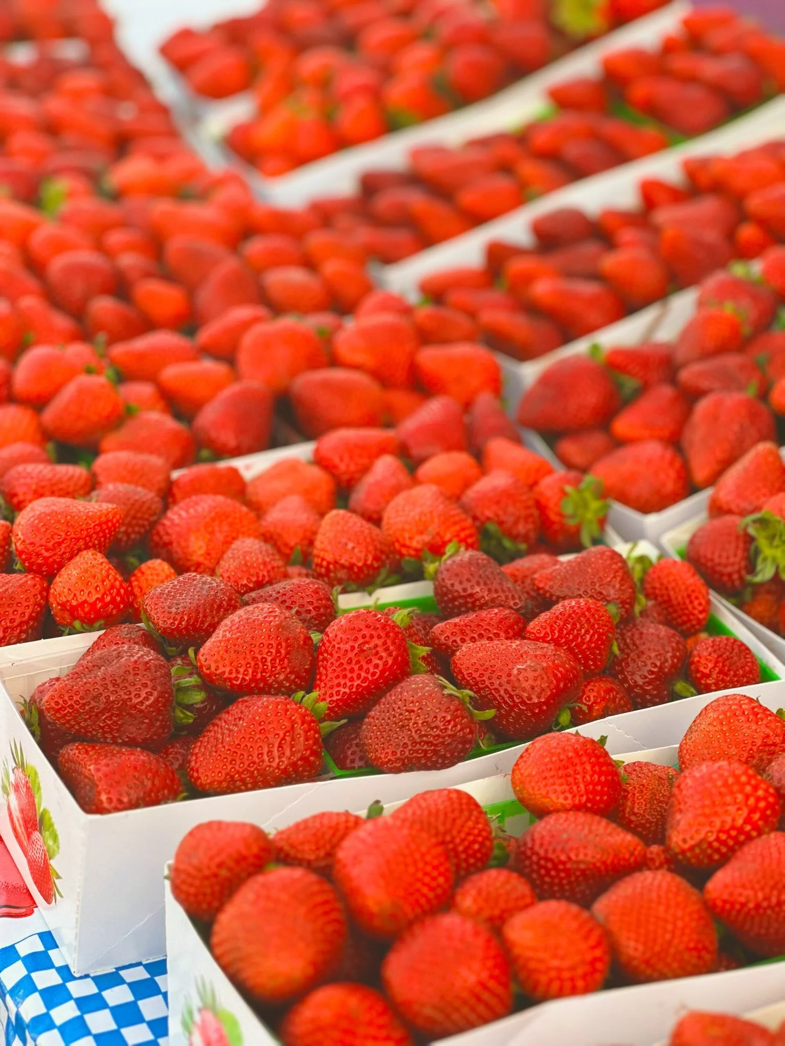 We are so lucky to have the amazing produce we do from the local Santa Barbara farmers market!!🌿 The best dishes start with the best ingredients locally sourced, seasonal, and picked at their peak. #SantaBarbaraChefCollective #SantaBarbaraEvents #Pr