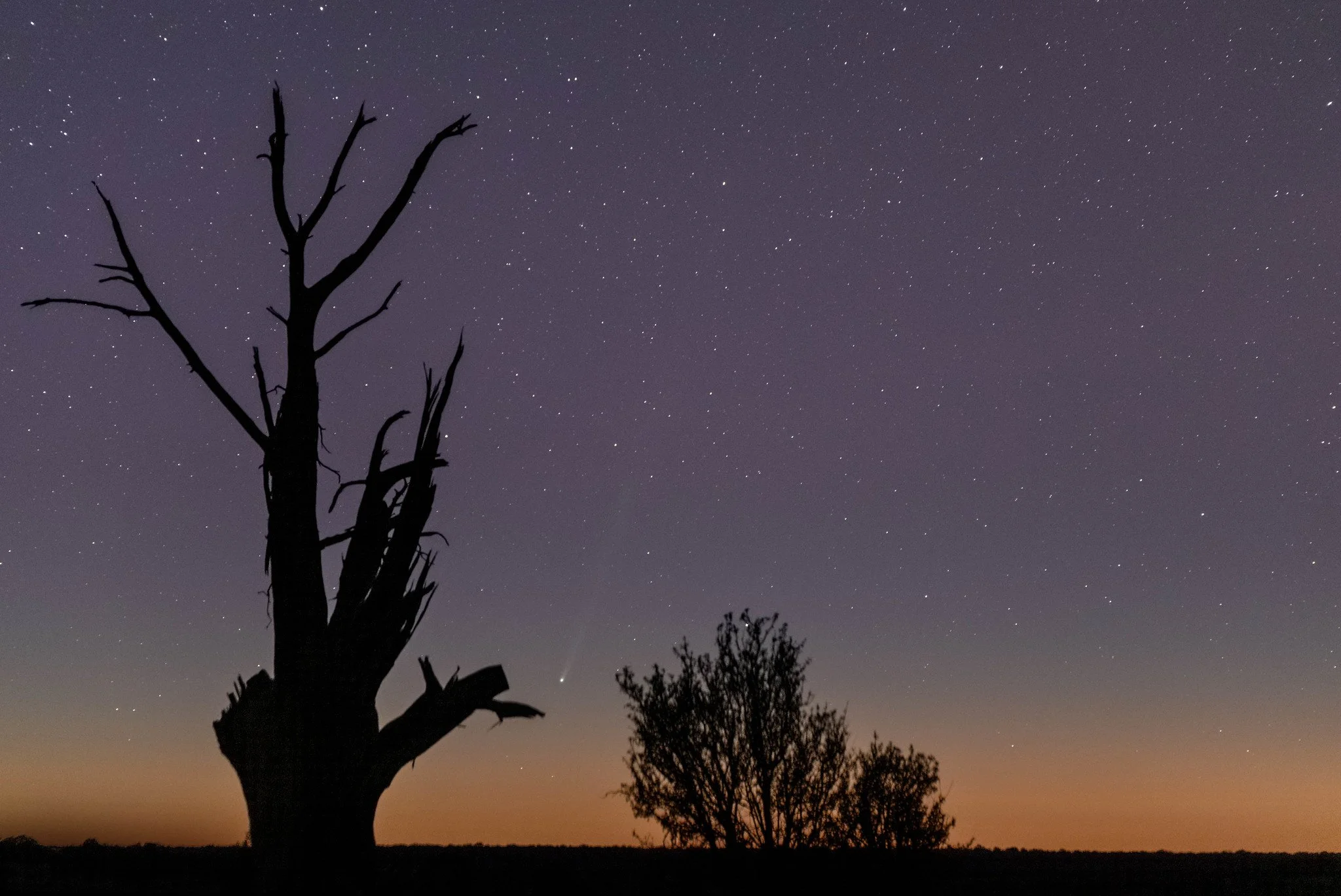 Comet 2025 R3 (PANSTARRS)