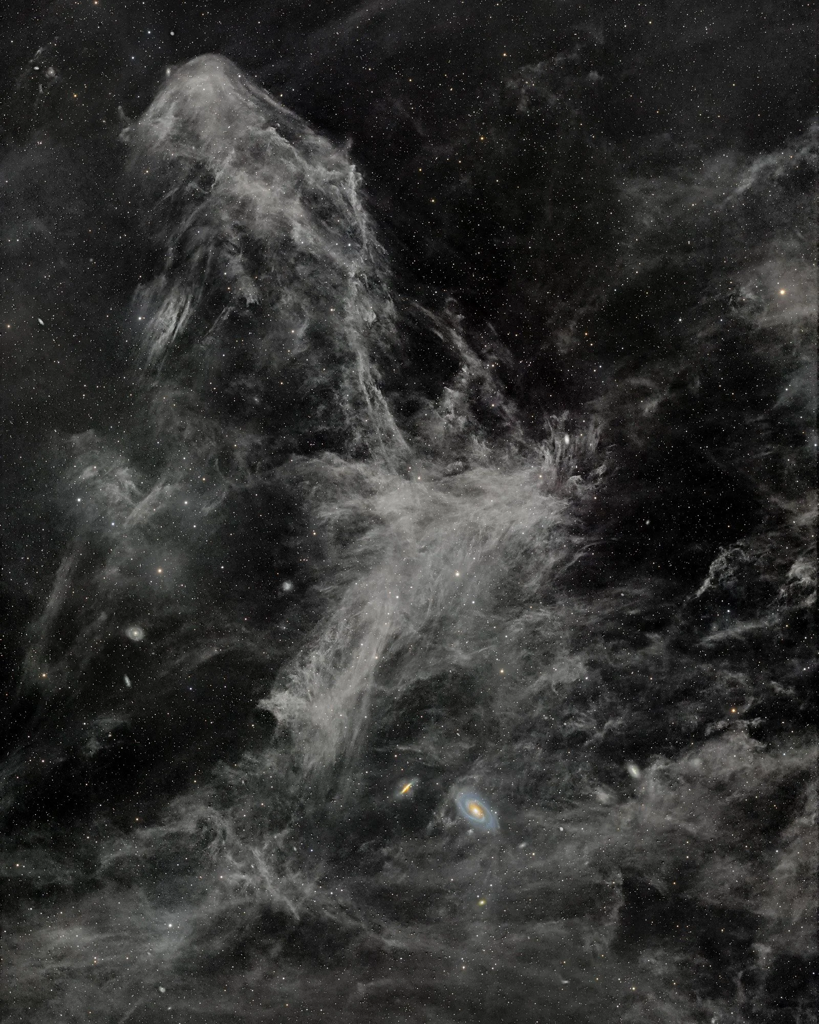 M81 M82 IFN
