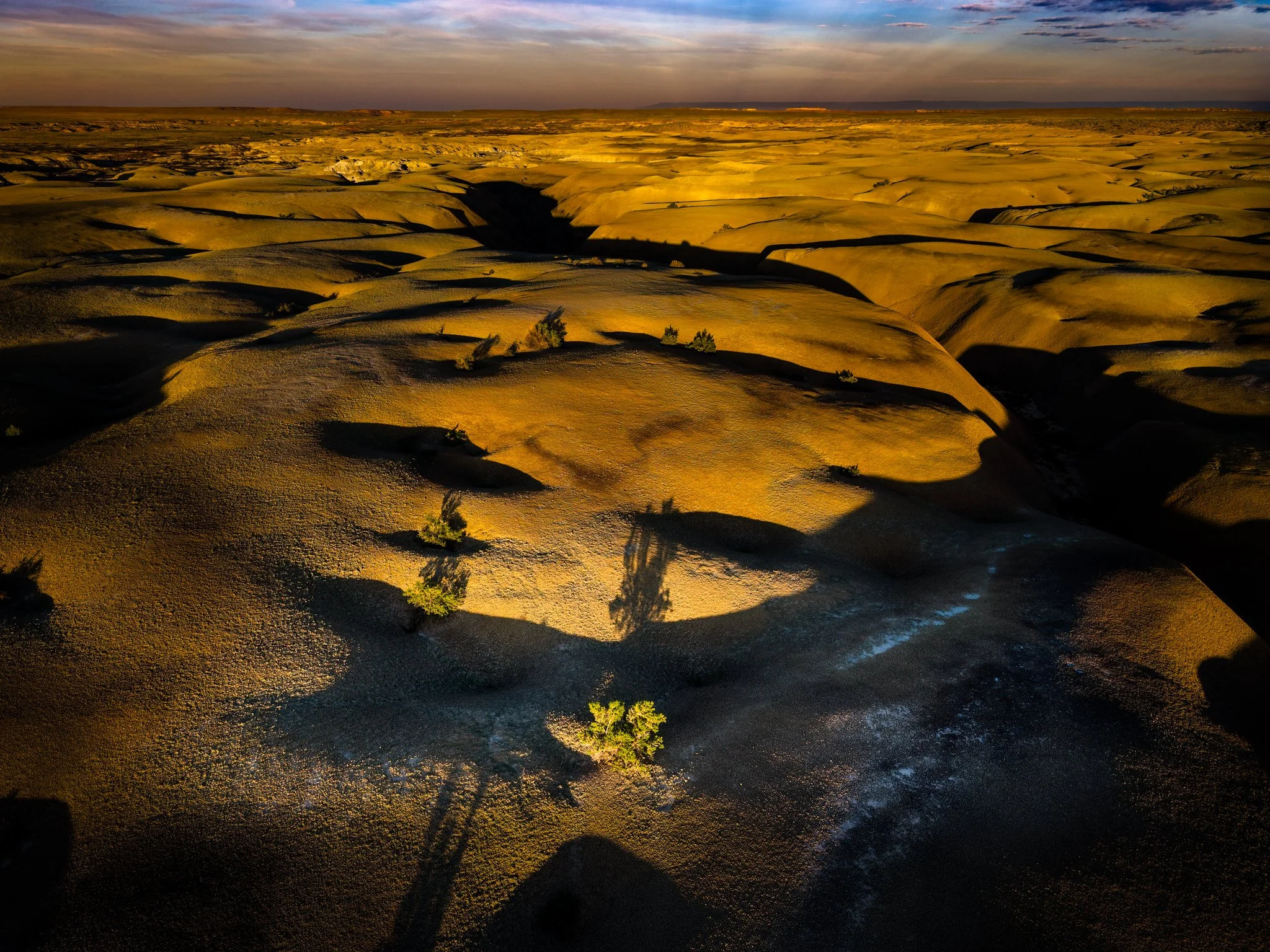 Bisti/De-Na-Zin Wilderness