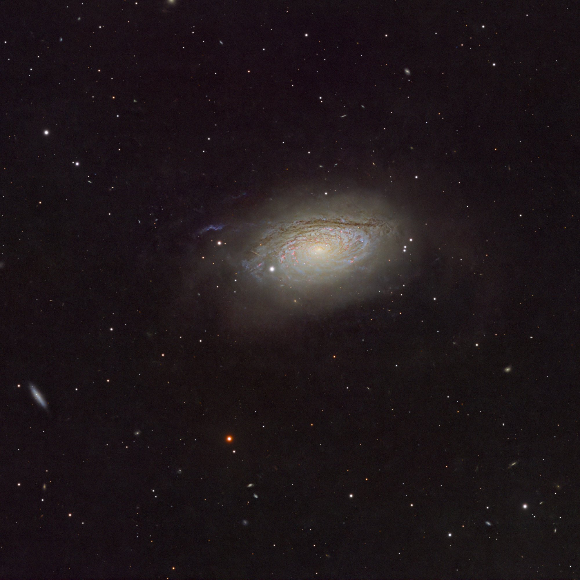 M63, Sunflower Galaxy