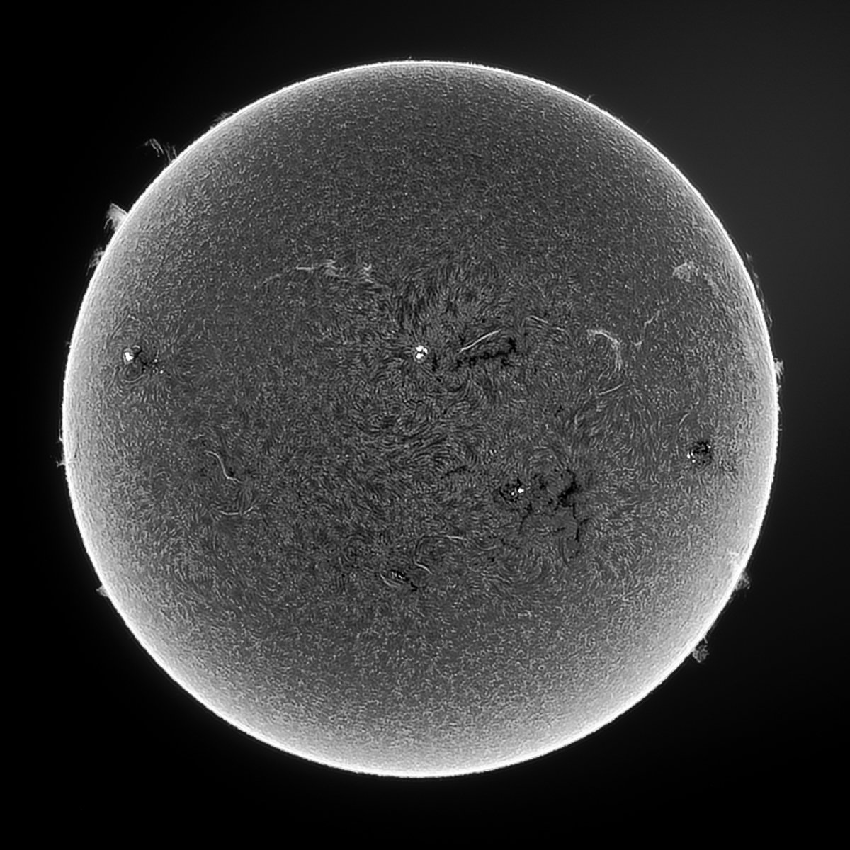 Full sun inverted