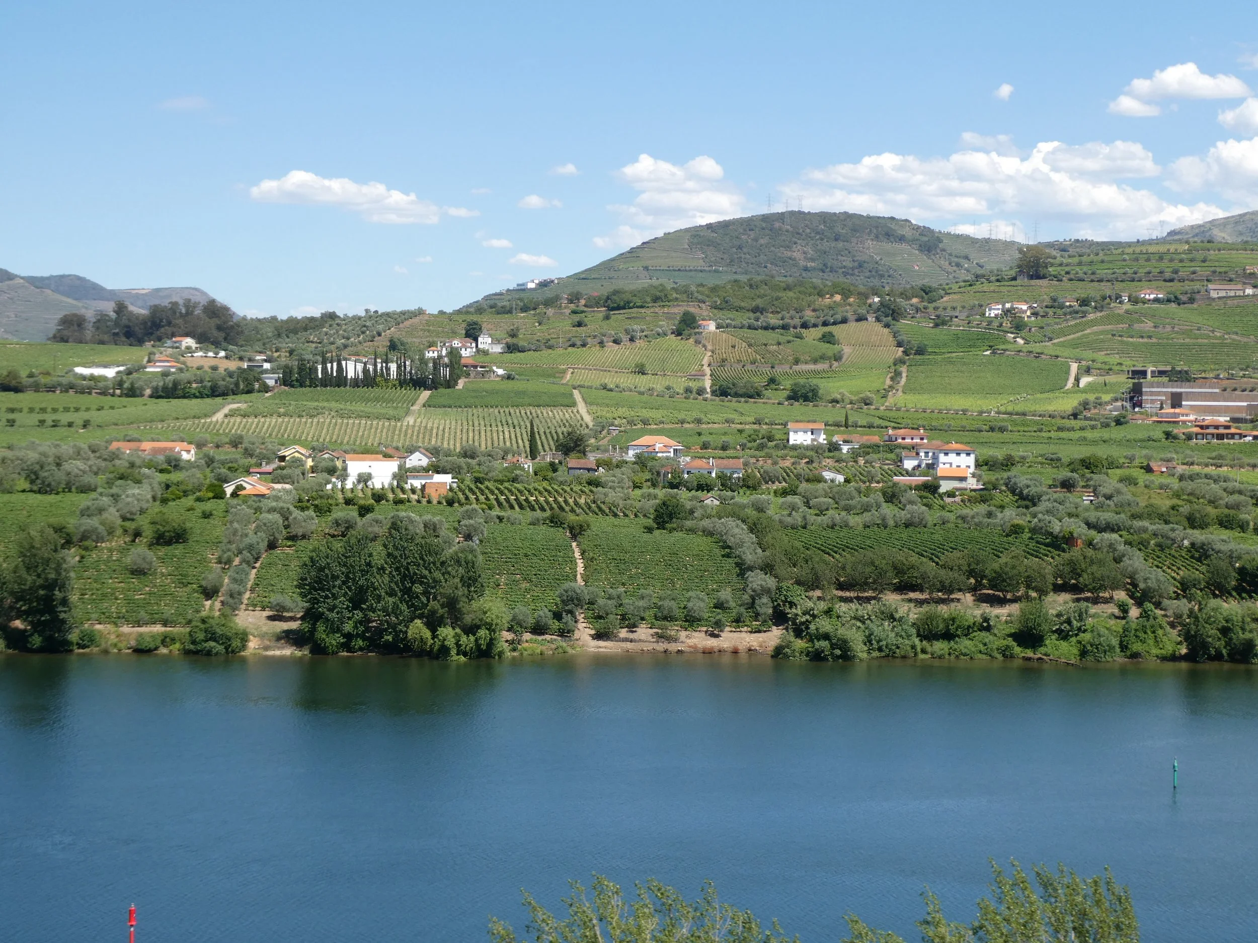 P1000241.JPG