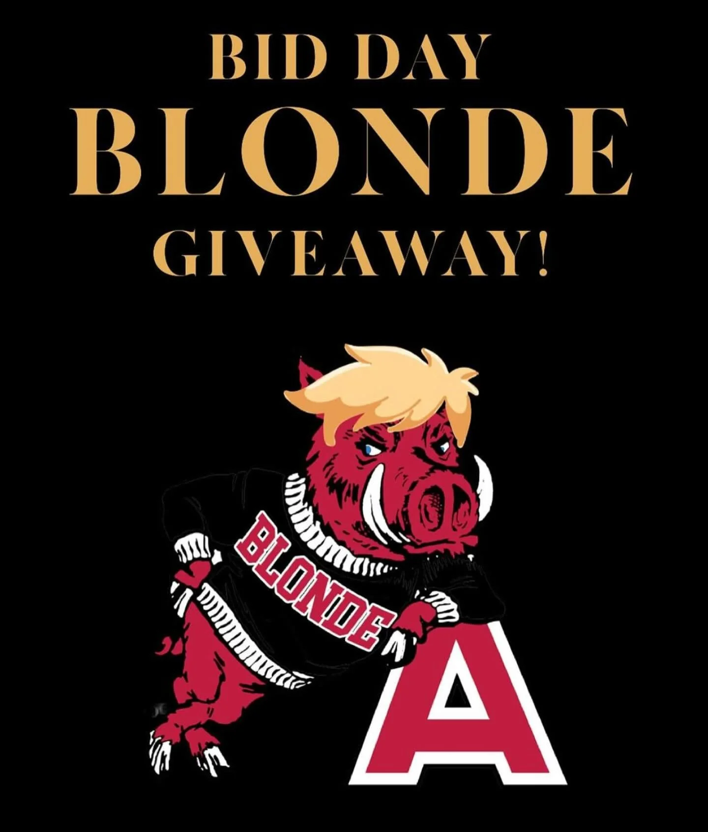 🎉 WE HAVE OUR GIVEAWAY WINNER!!! 🎉

A huge congratulations to @emily_schmidt28 you&rsquo;re officially the winner of our BID DAY Giveaway!!! 💕 We&rsquo;re so excited for you to enjoy all the goodies coming your way. Thank you SO much to everyone w
