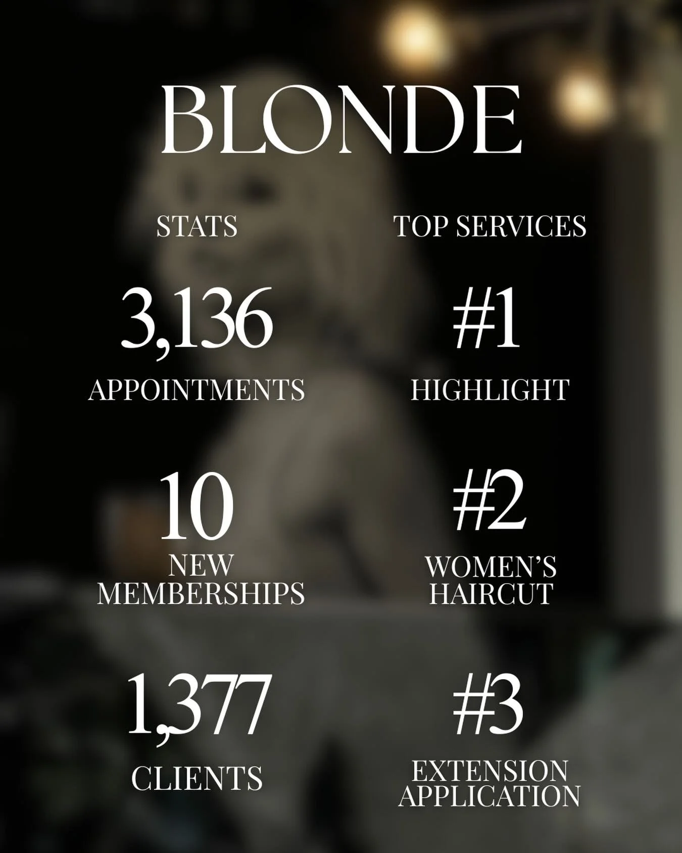 ✨BLONDE 2025 Wrapped✨

What a year. As we look back on 2025, our hearts are so full. Because of you, BLONDE welcomed 1,377 amazing clients, completed 3,136 appointments, and celebrated 10 new memberships and we are endlessly grateful for every single