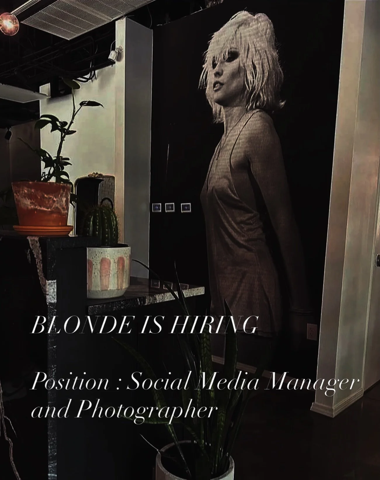 BLONDE IS LOOKING FOR A CREATIVE ✨

We&rsquo;re hiring a Social Media Manager + Photographer to help bring the BLONDE brand to life.

We&rsquo;re looking for someone who:
&bull; Has a strong eye for elevated, editorial content
&bull; Shoots + edits p