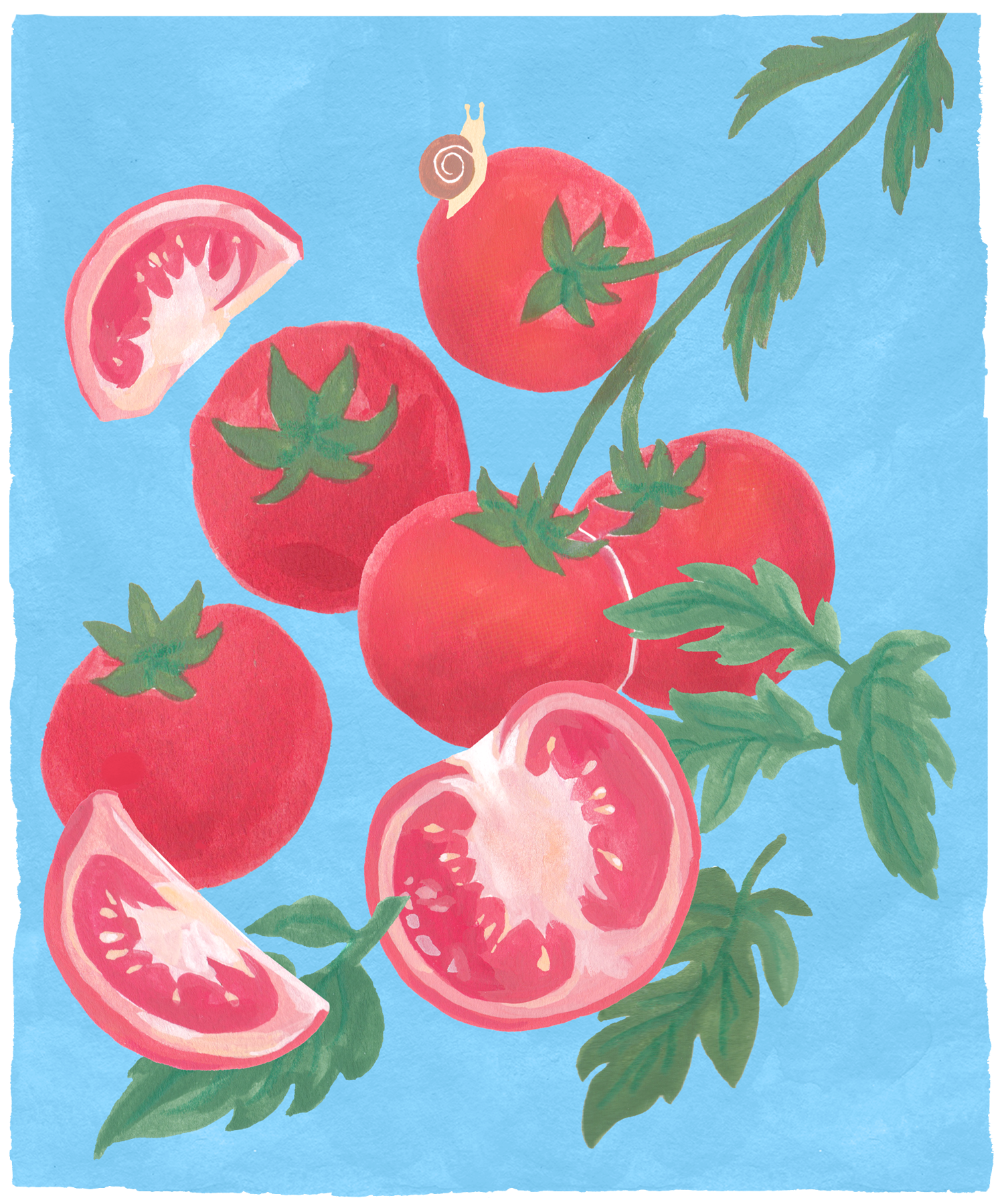 tammywhchan_tomato_v2.png