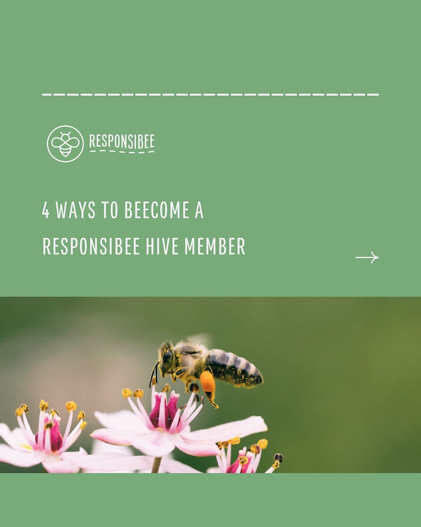 🟡 So you wanna be a Hive Member? ⚫️
.
Our seal is synonymous with integrity and eco-friendliness, so we hold our partners accountable to doing their piece in creating a sweeter world for bees 🐝 #happyhive