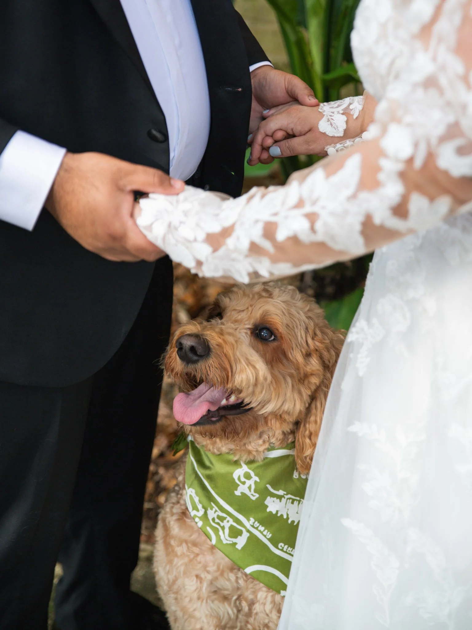 A couple getting married, holding hands during the ceremony, with a brown dog wearing a green bandana looking up at them.