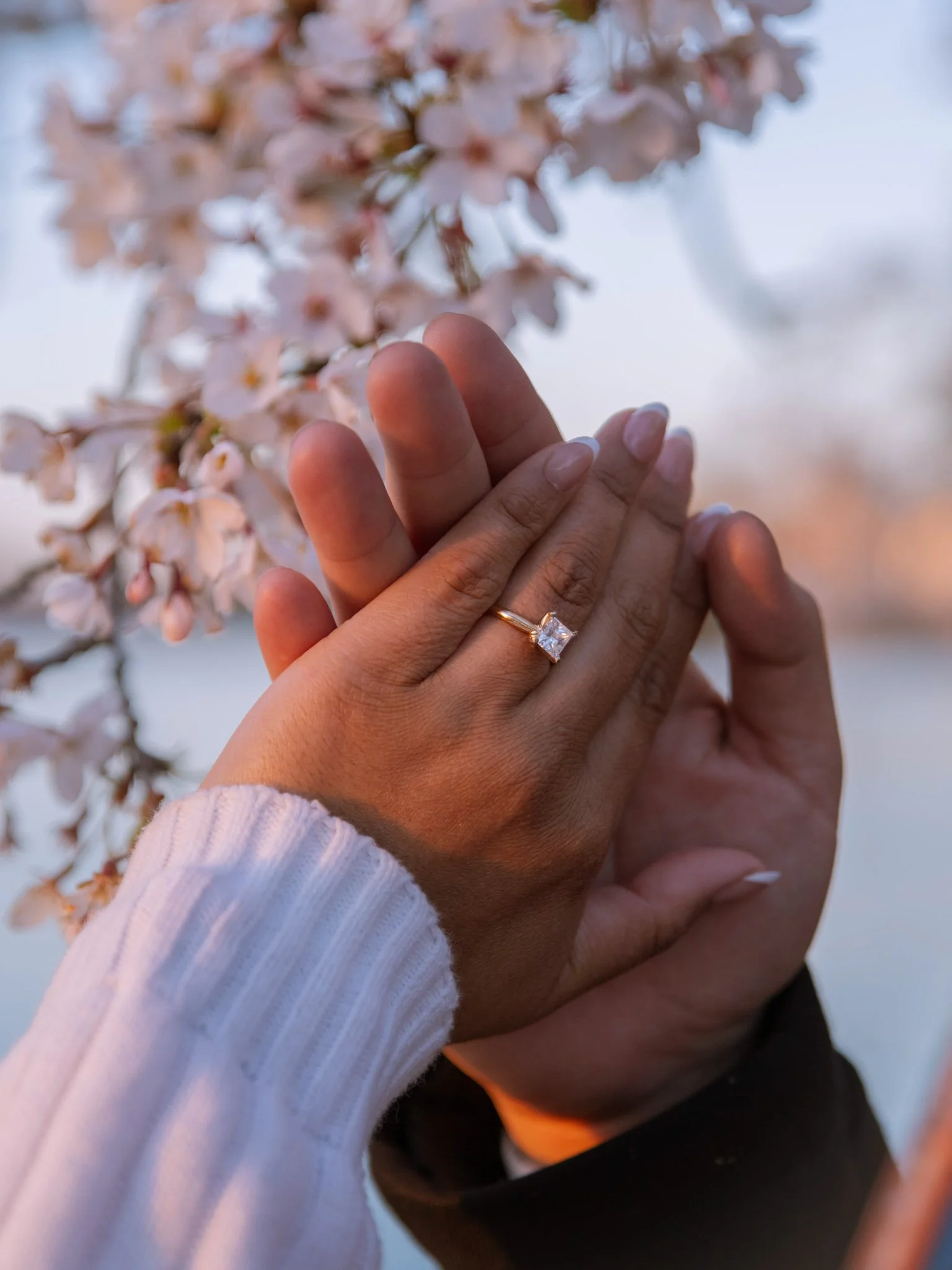 Two hands, one with a ring, intertwined near pink cherry blossoms.