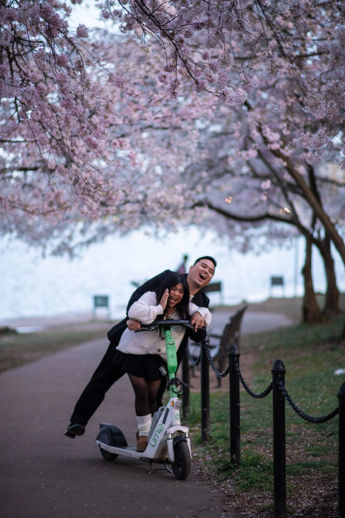 A joyful couple laughing together under blooming cherry blossom trees, with a woman riding a green electric scooter along a park pathway near a body of water.