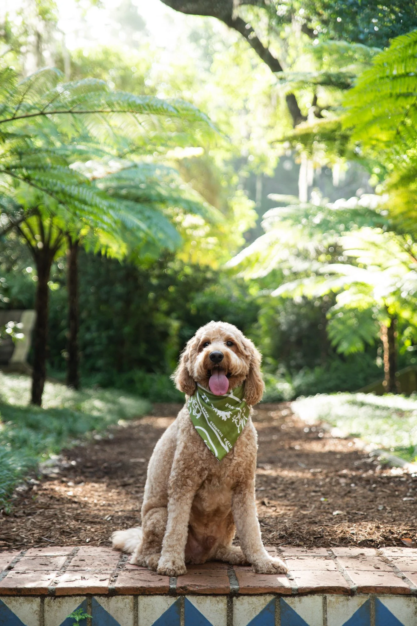 A cheerful dog with curly fur and a green bandana sitting on a brick edge in a lush, sunlit garden with large green plants and trees in the background.