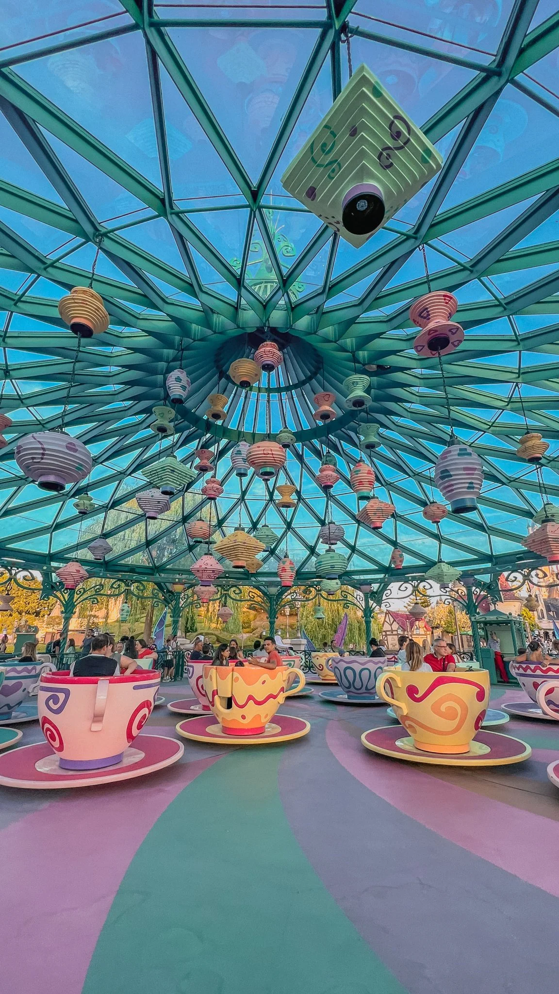 TBC-100.jpg