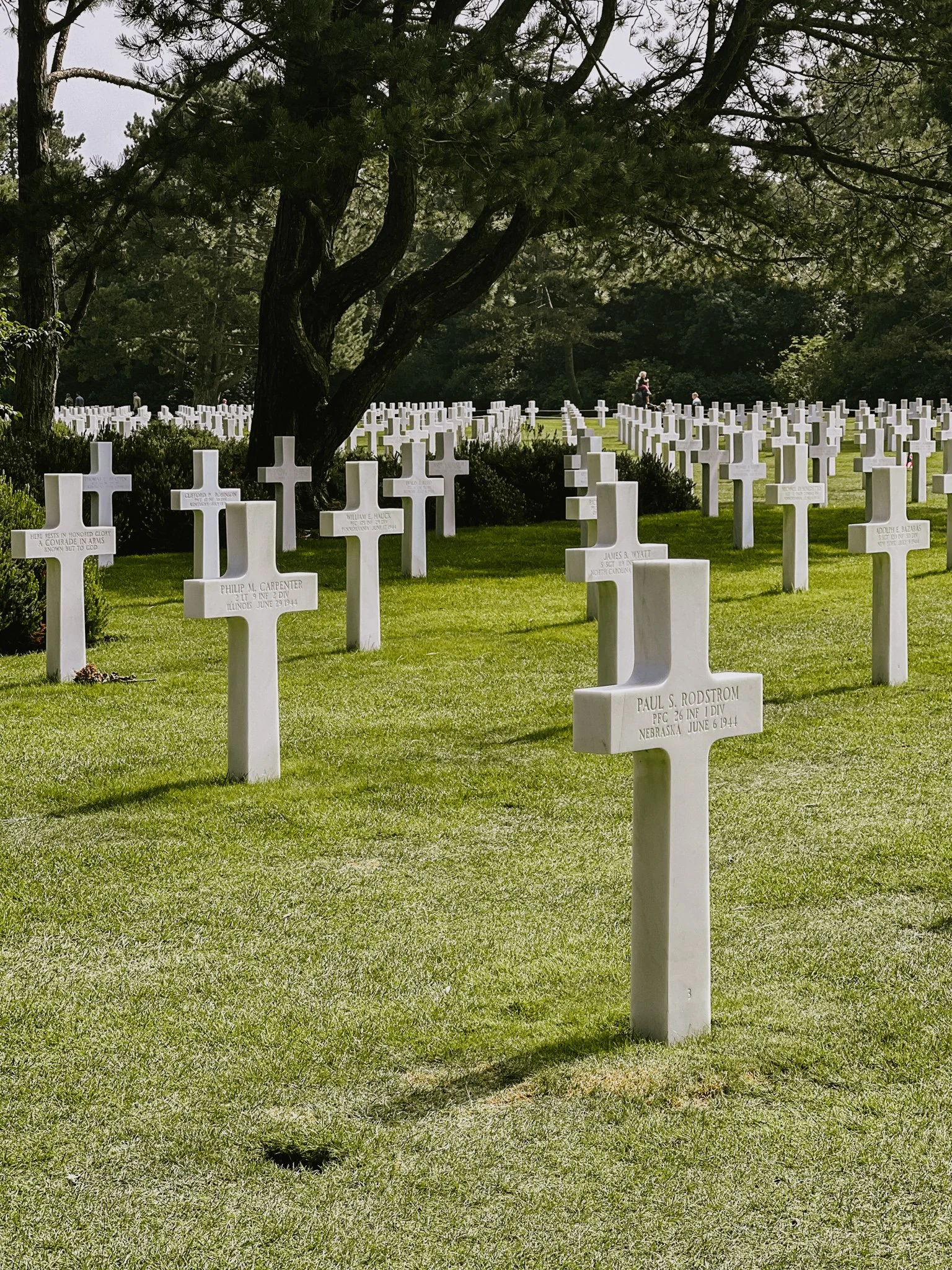 TBC-90.jpg