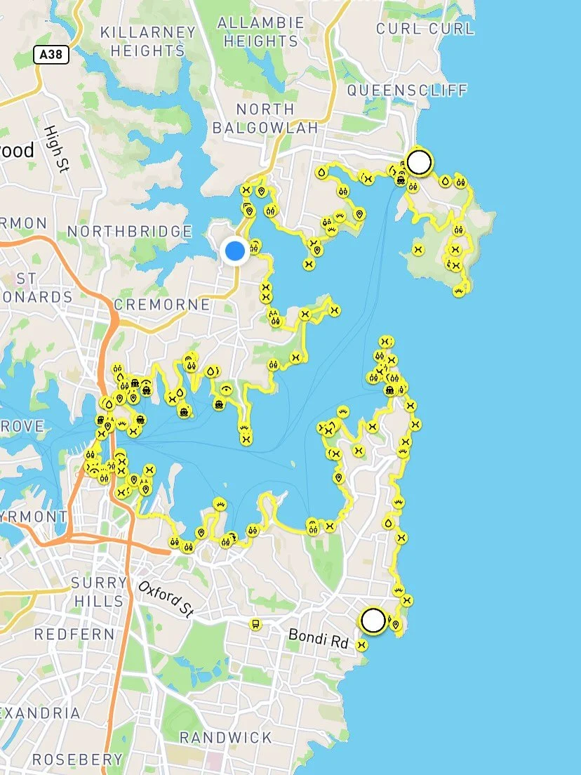 BONDI TO MANLY WALK

Well, what a week that was! I first heard about the Bondi to Manly (B2M) walk when I was up in Sydney a few months ago with my swim squad, doing a tour of the ocean pools, and was intrigued. I love Sydney harbour, but I&rsquo;ve 