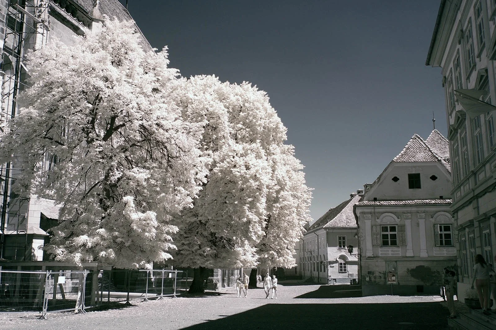 Infrared-720nm-converted-camera-example.JPG