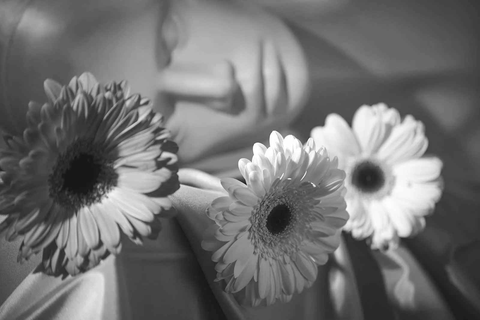 Professional_Infrared_Camera_Conversion_Services.jpg