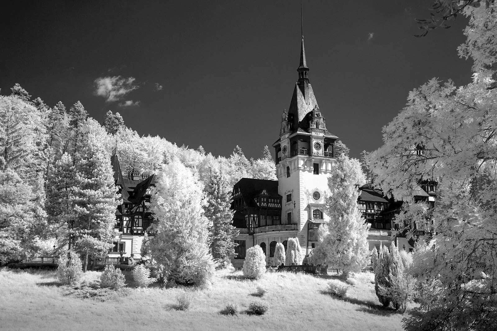 Fujifilm_GFX50S_Full-Spectrum_Converted_Medium_Format_Infrared_Camera (8).jpg