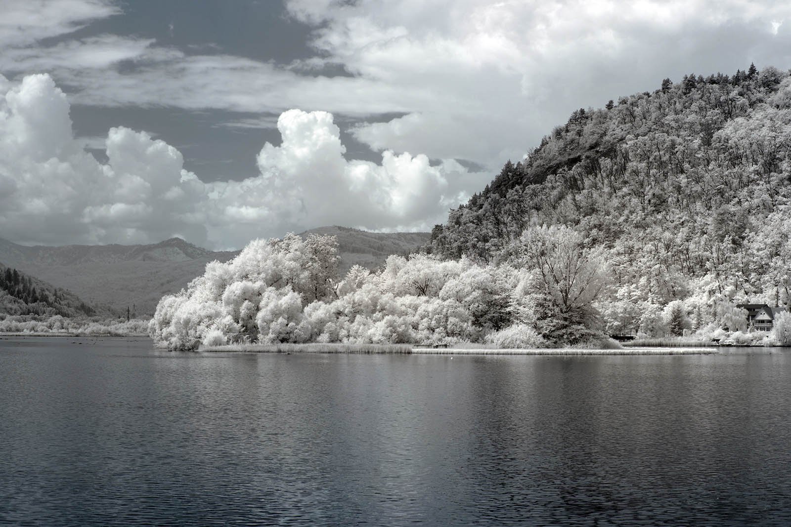 720nm-infrared-photography-example (6).jpg