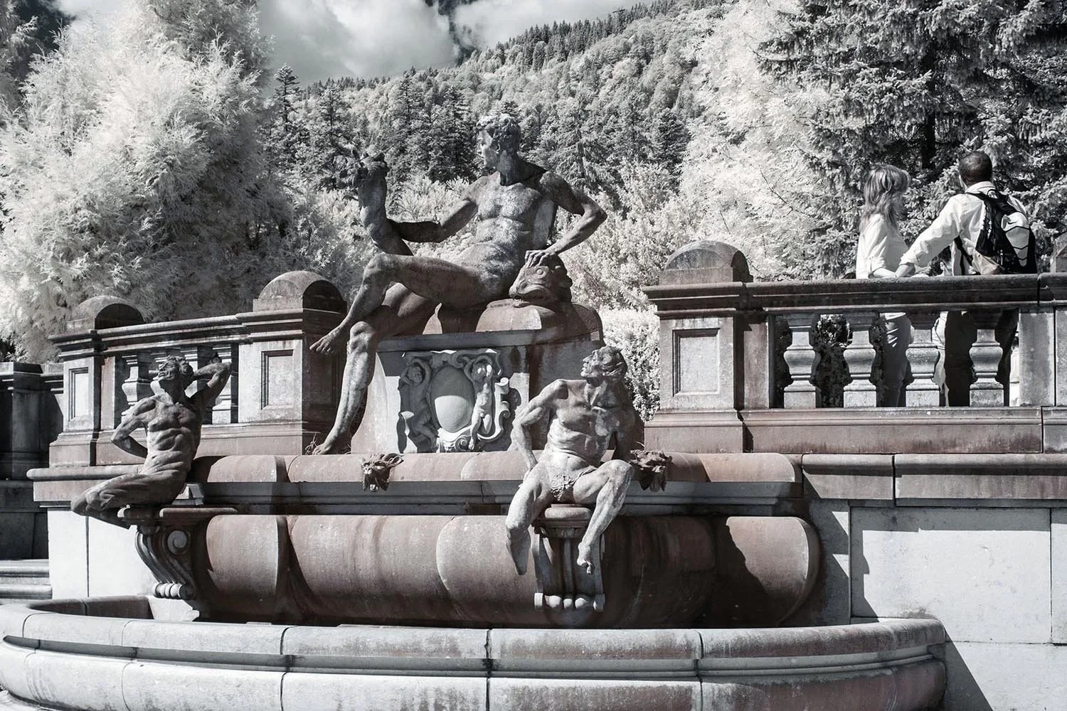 Professional_Infrared_Camera_Conversion_Services (12).jpg