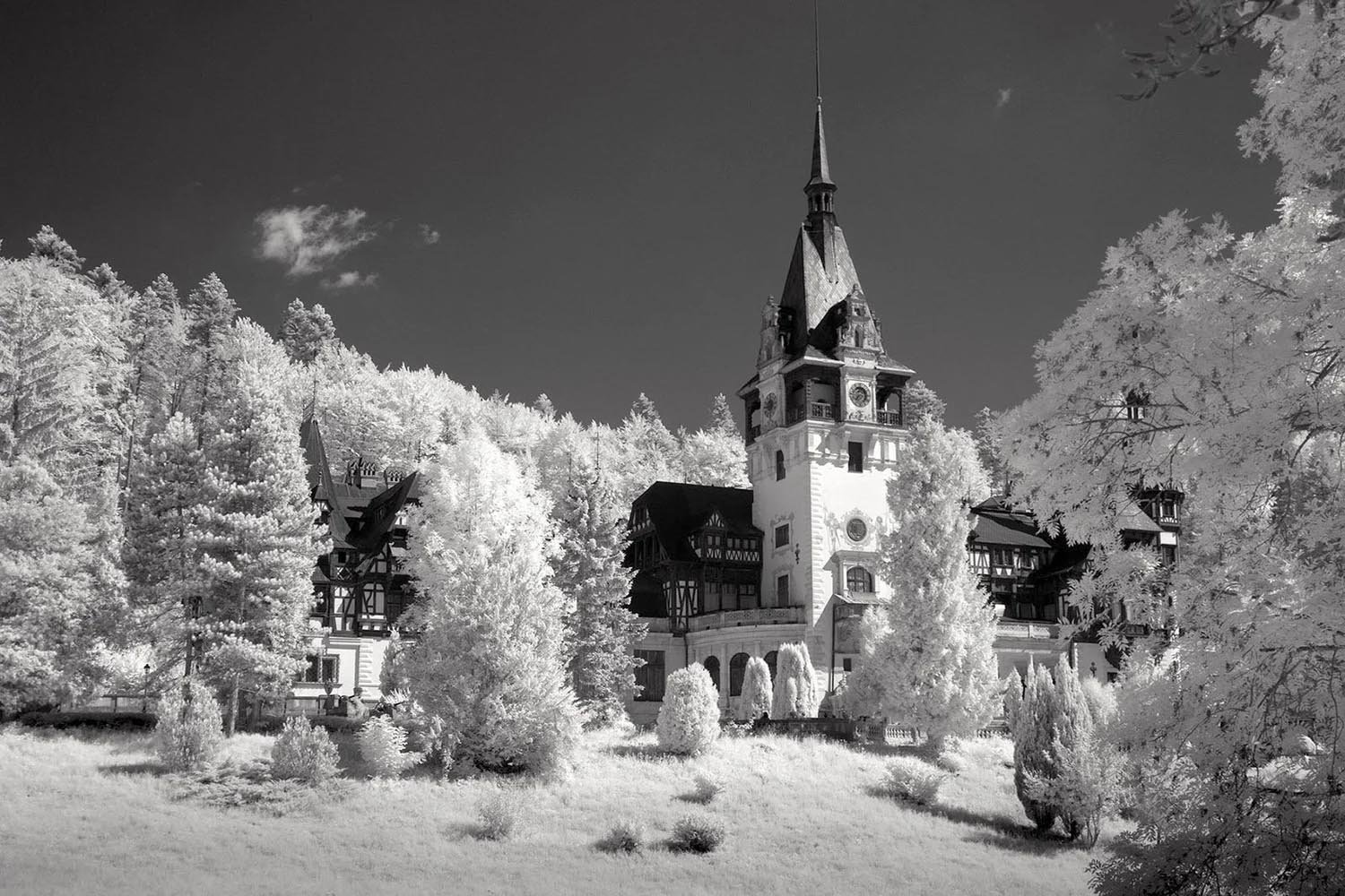 Professional_Infrared_Camera_Conversion_Services (11).jpg