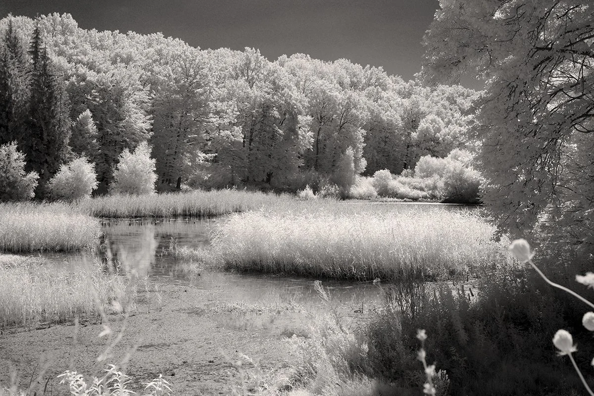 Fujifilm X-T200 fullspectrum infared converted digital camera (2).jpg