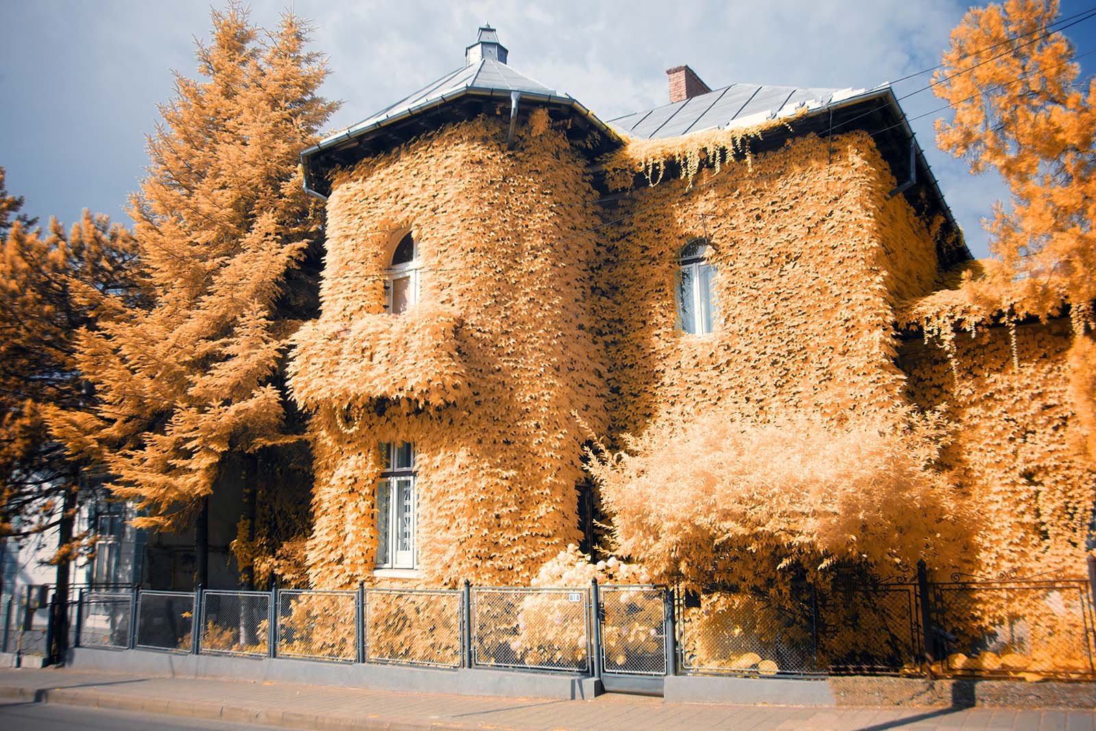 Professional_Infrared_Camera_Conversion_Services (6).jpg