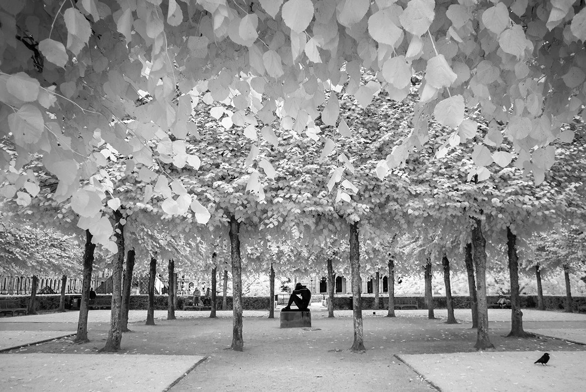 infrared-IR720nm-photography-example (2).jpg