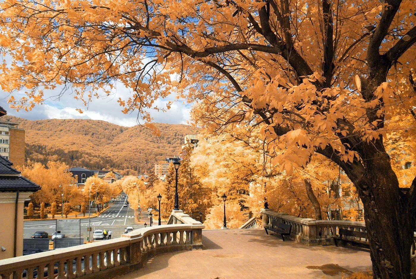 Fujifilm_GFX50S_Full-Spectrum_Converted_Medium_Format_Infrared_Camera (17).jpg