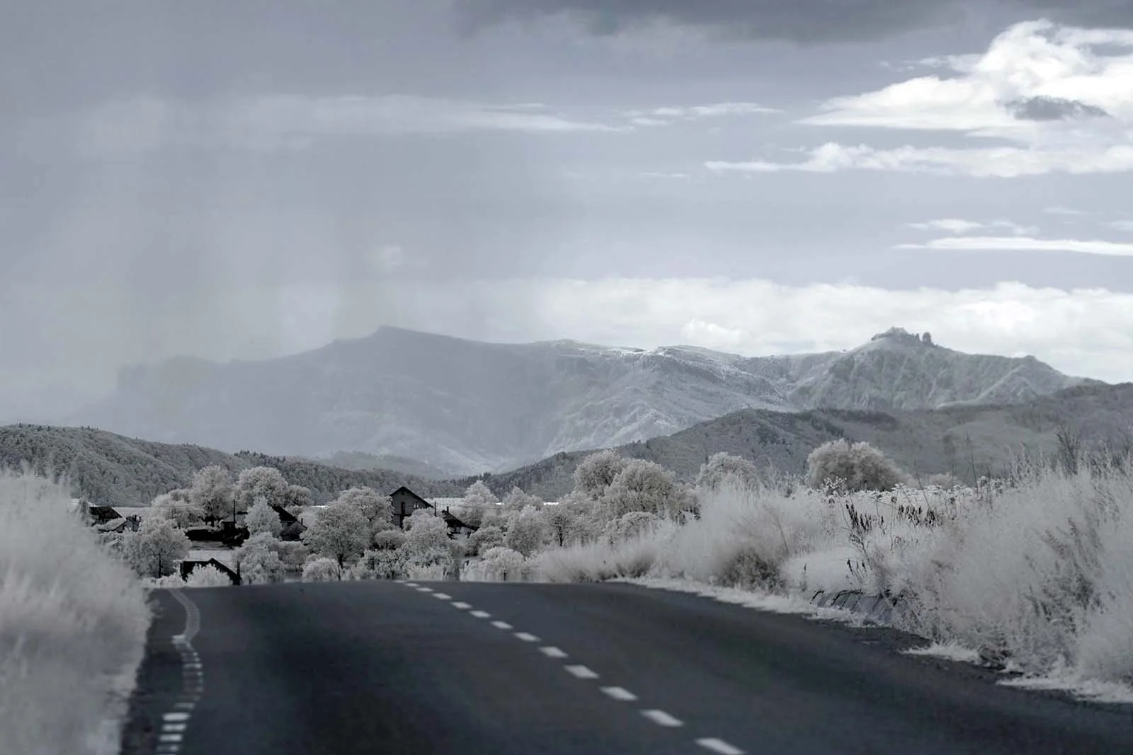 Fujifilm_GFX50S_Full-Spectrum_Converted_Medium_Format_Infrared_Camera (20).jpg