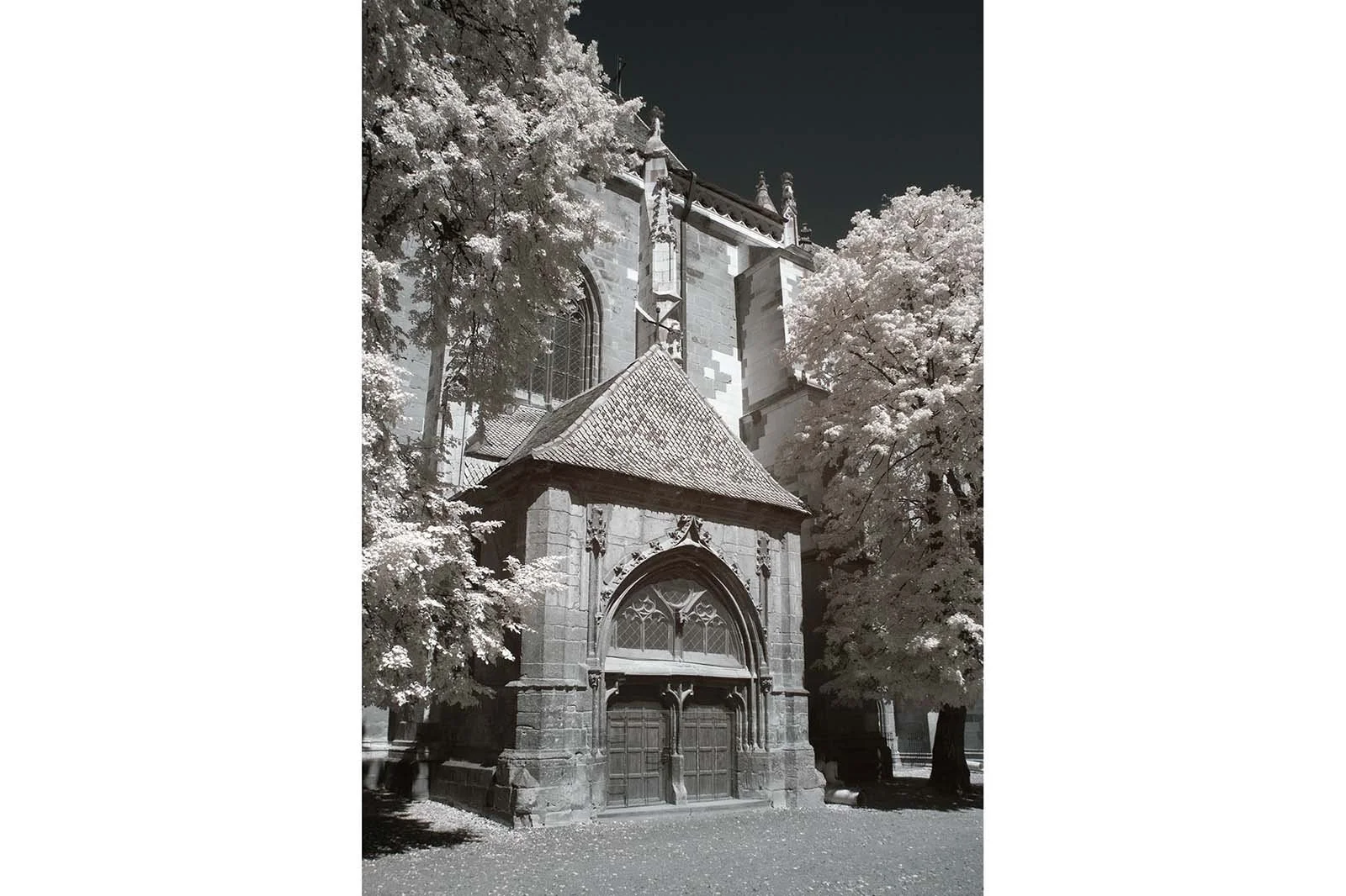 720nm-infrared-photography-example (1).jpg