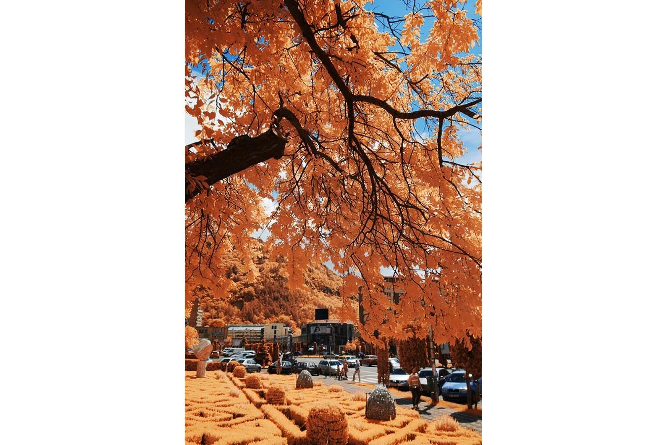 Fujifilm_GFX50S_Full-Spectrum_Converted_Medium_Format_Infrared_Camera (19).jpg