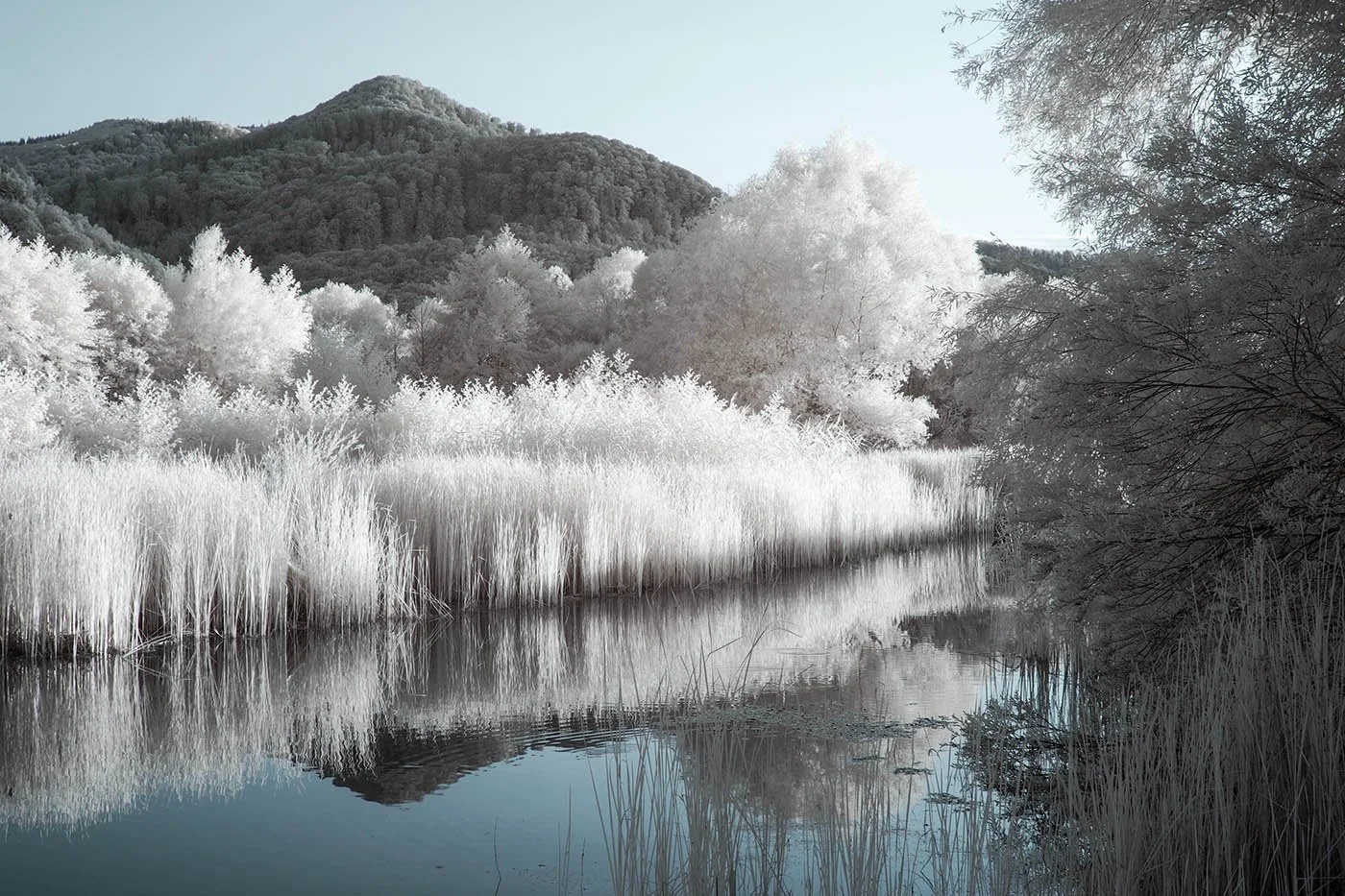 Olympus_fullspectrum_Infrared_Camera.jpg