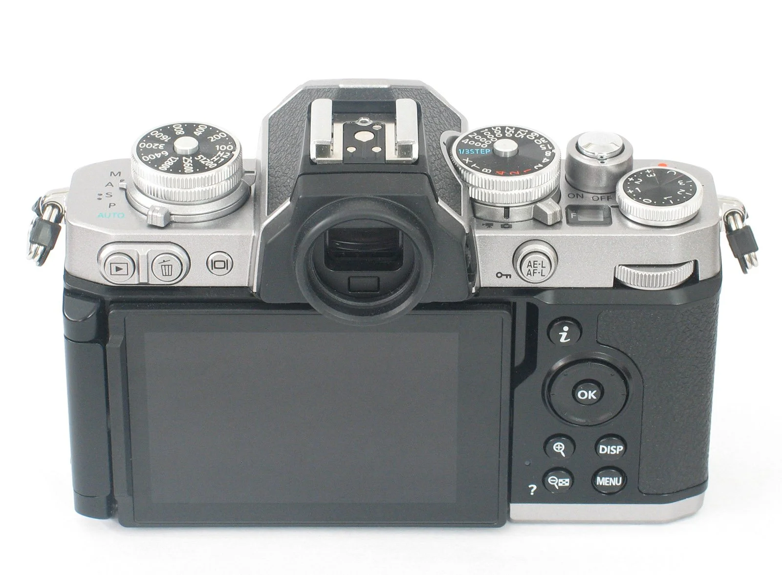 Nikon-Zfc_Infrared-IR720nm-converted-camera (1).jpg