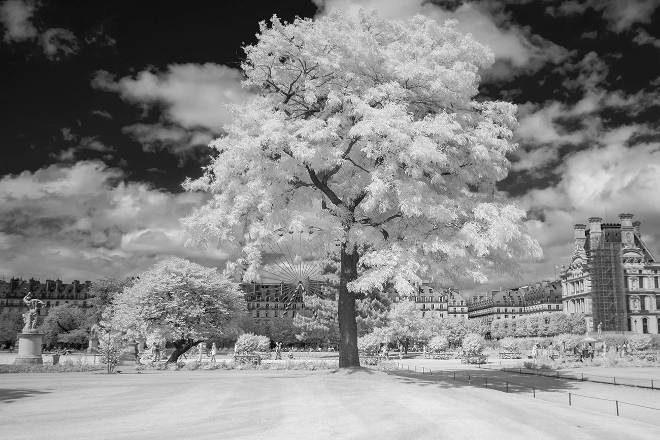 infrared-IR720nm-photography-example (6).jpg