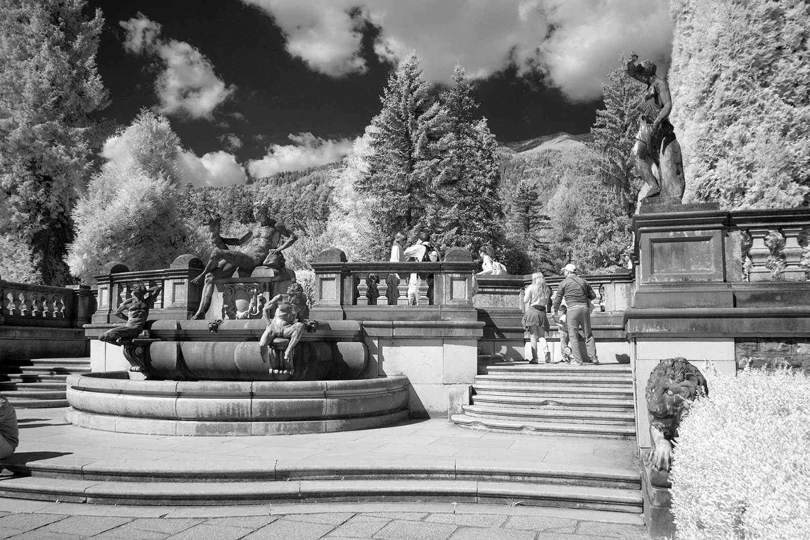 Fujifilm_GFX50S_Full-Spectrum_Converted_Medium_Format_Infrared_Camera (10).jpg