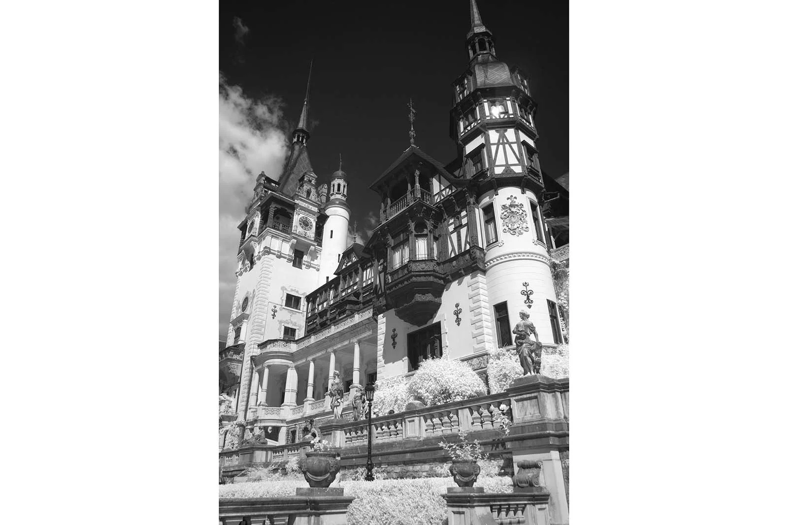 Fujifilm_GFX50S_Full-Spectrum_Converted_Medium_Format_Infrared_Camera (11).jpg