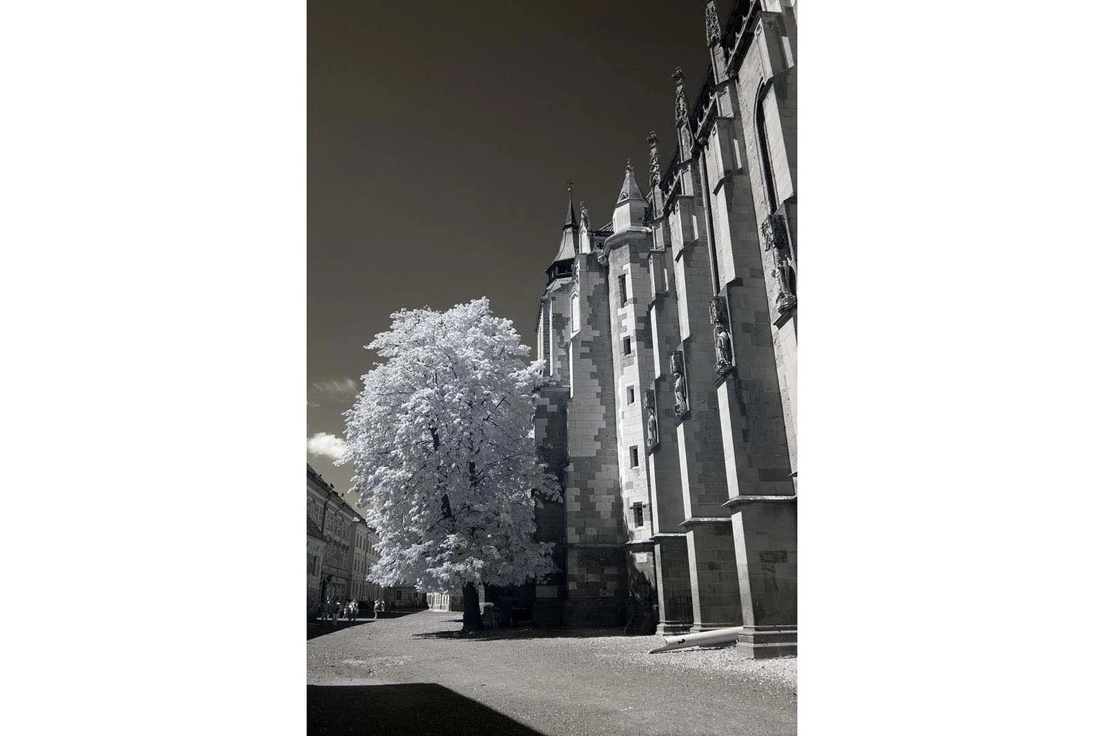 Fujifilm_GFX50S_Full-Spectrum_Converted_Medium_Format_Infrared_Camera (6).jpg
