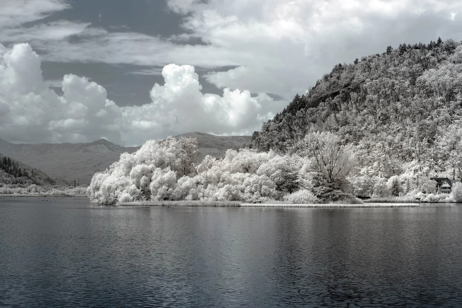 Fujifilm_GFX50S_Full-Spectrum_Converted_Medium_Format_Infrared_Camera (28).jpg